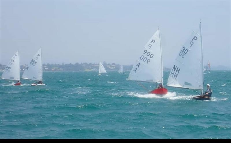 Day 1 -  P class - Tanner Cup - Tauranga Yacht and Power Boat Club - January 2019 - photo © Tauranga Yacht and Power Boat Club