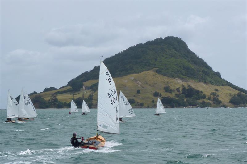 Tim Howse (404) - Day 1 - P class - Tauranga Cup - Tauranga Yacht and Power Boat Club - January 2019 - photo © Tauranga Yacht and Power Boat Club