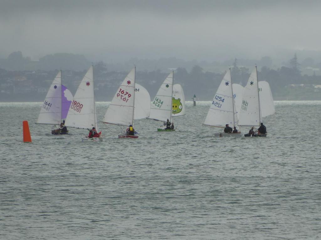 1st Mark Rounding, Race 5. #1641 is 
