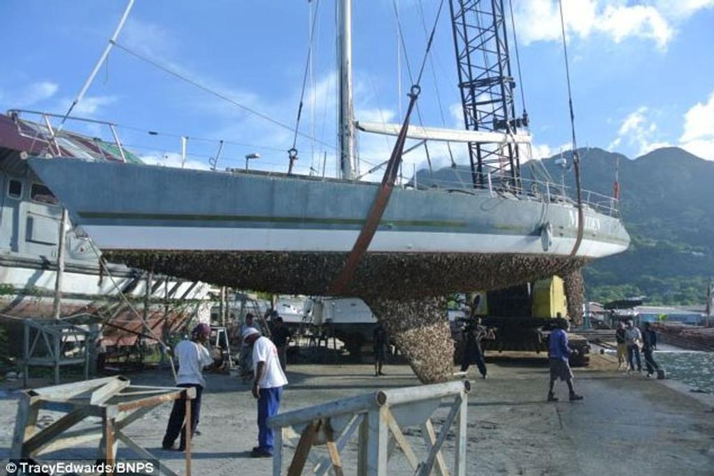  Maiden hauled in South Africa - photo © SW