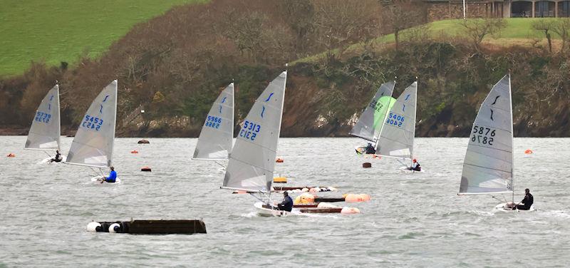 Salcombe Yacht Club Festive Series 2023/24 Race 3 photo copyright Lucy Burn taken at Salcombe Yacht Club and featuring the Solo class