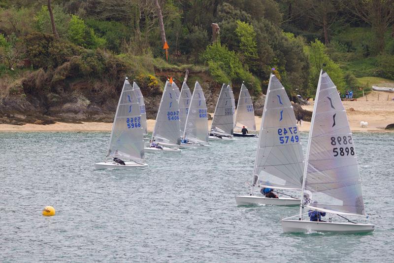 Salcombe YC Sailing Club Series Race 1 - photo © Lucy Burn