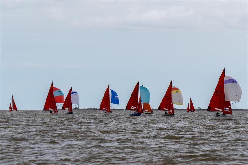 The Squib Class is again the largest, seen here on on Day 1 of Burnham Week 2025 - photo © Petru Balau Sports Photography / sports.hub47.com