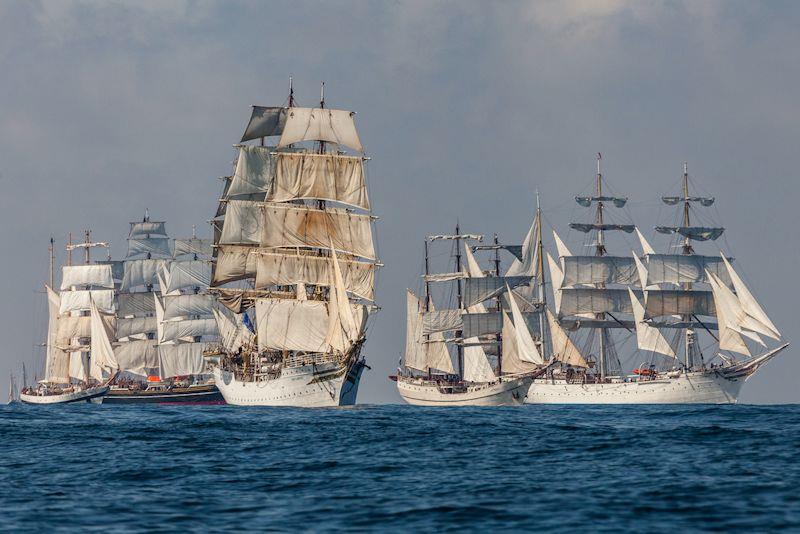 Tall Ships Races participants in 2023 (L-R): Pogoria (Poland), Sorlandet (Norway), Artemis (Netherlands), Statsraad Lehmkuhl (Norway) - photo © STI / Valery Vasilevskiy