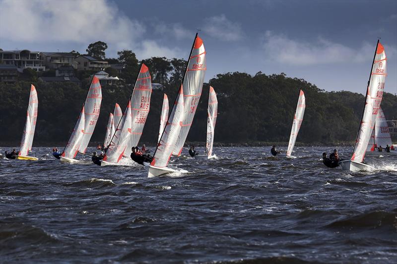 Tasars are just one of the many OTB classes that flock to Port Stephens photo copyright Sail Port Stephens taken at Corlette Point Sailing Club and featuring the Tasar class