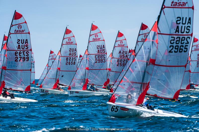 2024 Tasar World Championships at Sandringham Yacht Club: Full on Tasar! - photo © Beau Outteridge