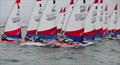 Topper Worlds at Crosshaven, Ireland © Phill Williams