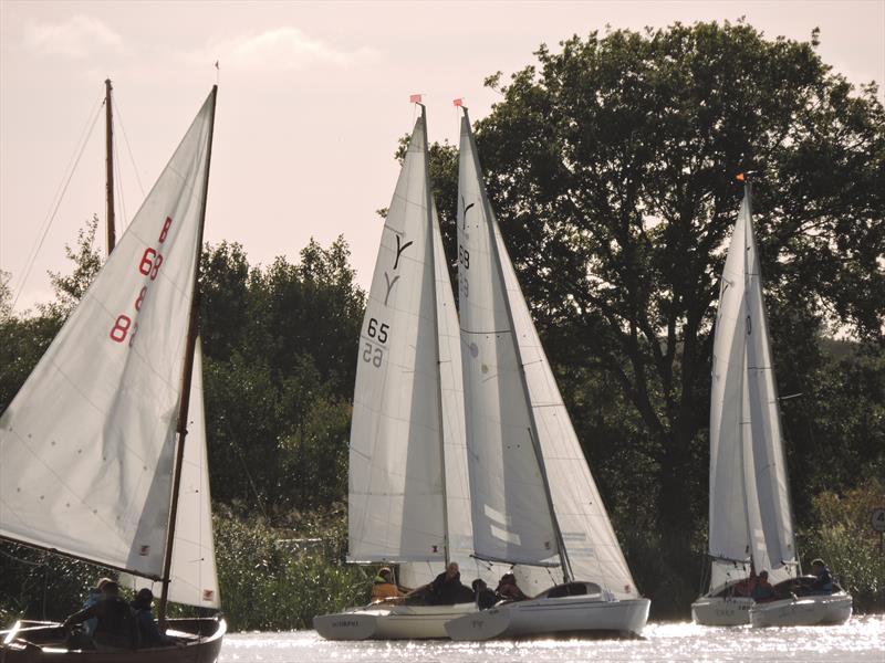 Horning Sailing Club End of Season Regatta 2023 photo copyright Holly Hancock taken at Horning Sailing Club and featuring the Yeoman/Kinsman class